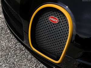 Bugatti Veyron One of One